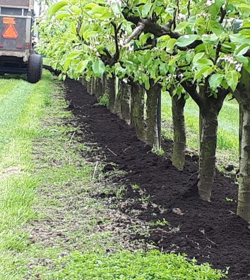 Fruitbedrijf fruitteelt Mts C.W. van Ossenbruggen Ingen